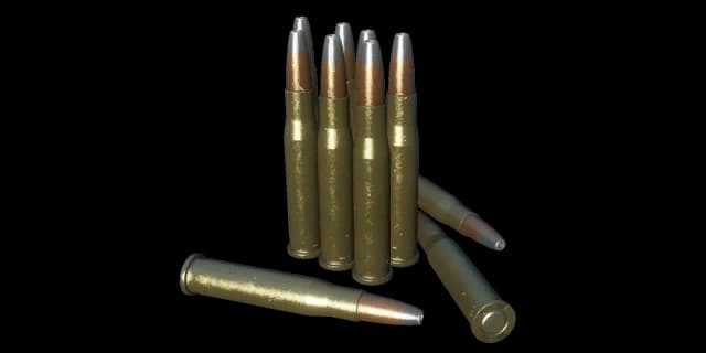 .30-30软尖圆头弹