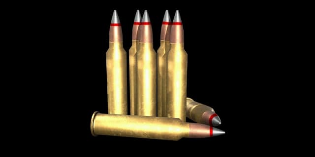 .300马格南聚合物尖头弹