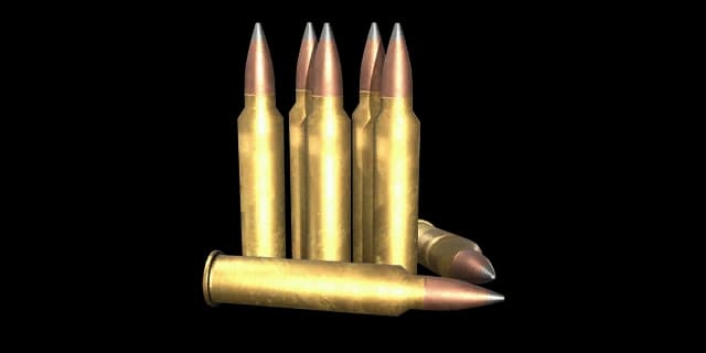 .300马格南软尖弹