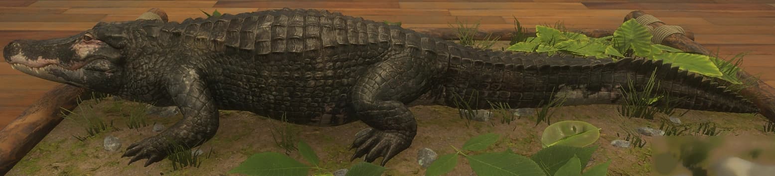 花斑变体 1 - 左侧