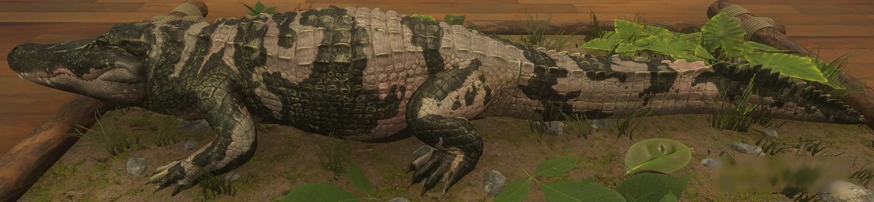 花斑变奏 2 - 左侧