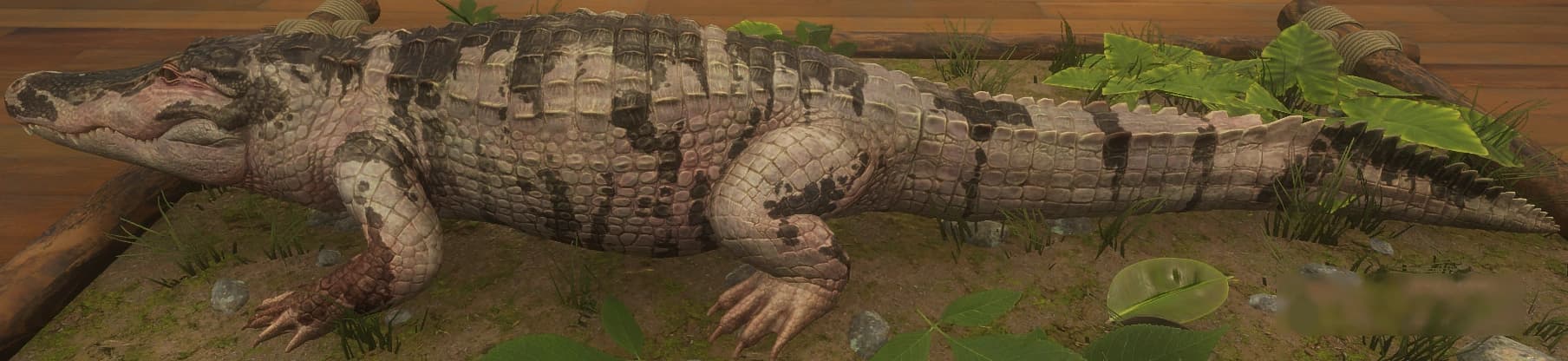 花斑变例 3 - 左侧