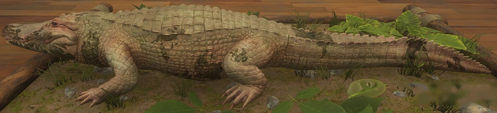 花斑变奏 4 - 左侧