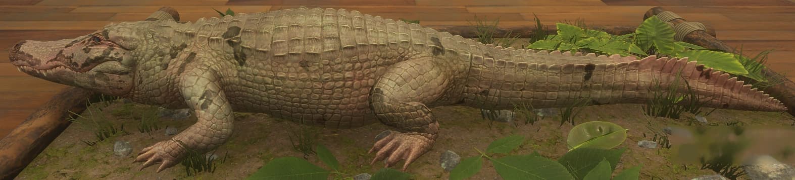 花斑变种 5 - 左侧