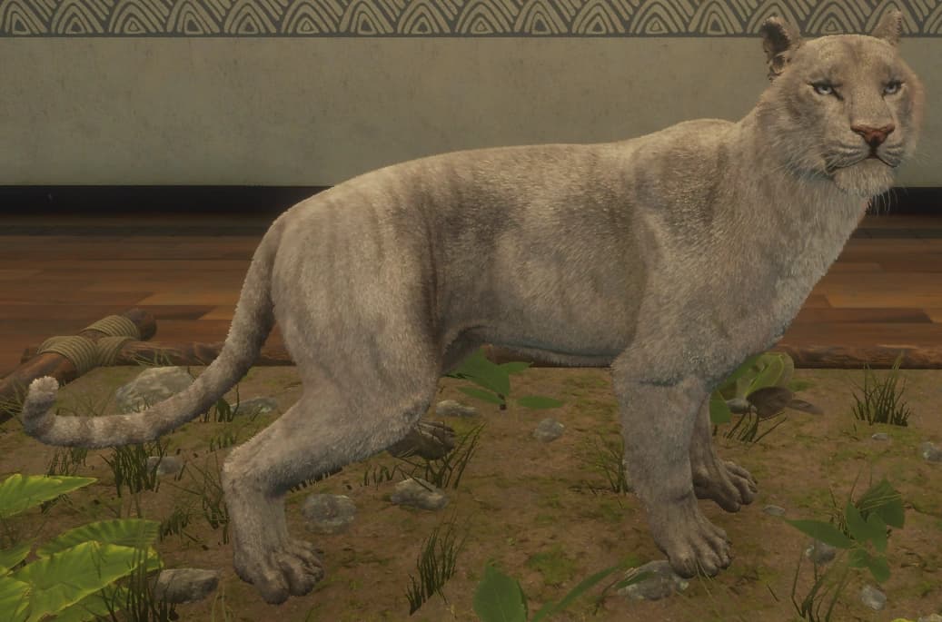 无白色条纹 - 无白色条纹