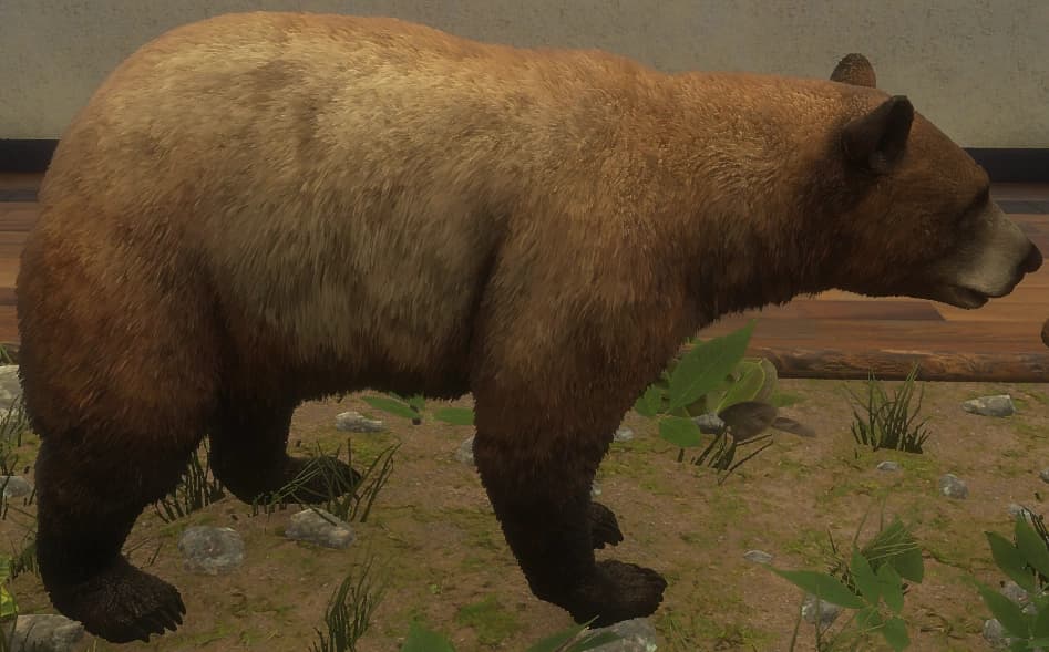 亚麻色 - 亚麻色