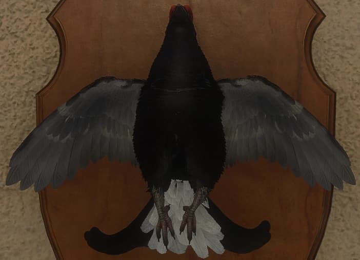 深色 - 正面（雄）