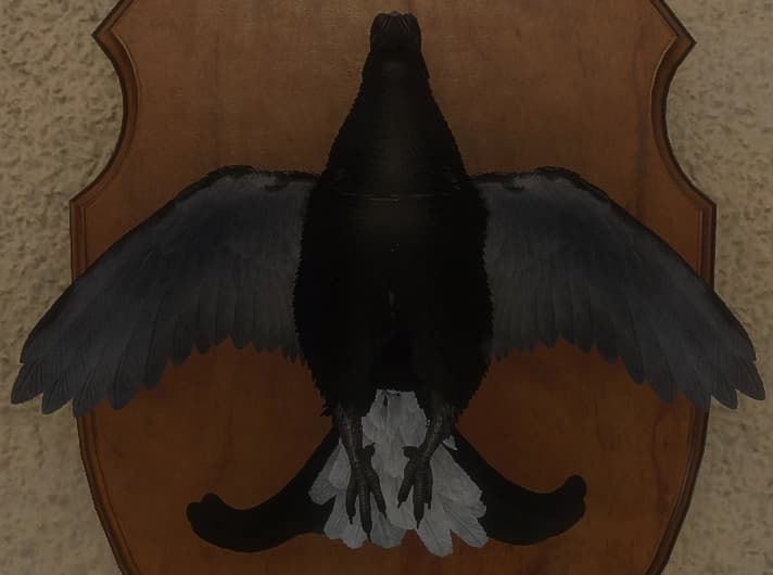 黑色素变异 1 - 正面（雄）