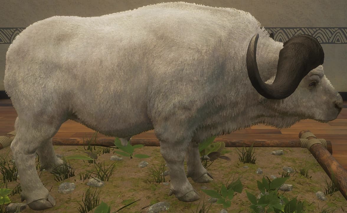 白色亚种 - 白色亚种