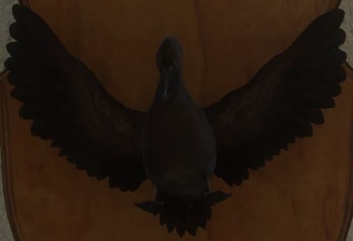 黑化 - 正面（雄）