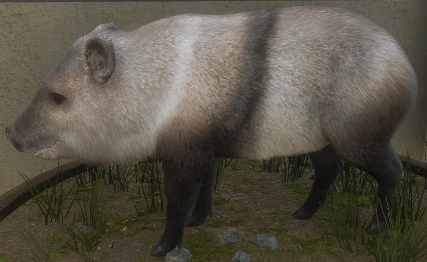 白色亚种 - 白色亚种