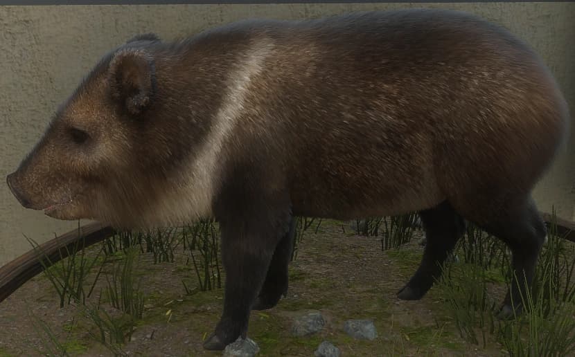 黄褐色 - 黄褐色