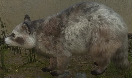 亚麻色，带花斑 - 亚麻色，带花斑