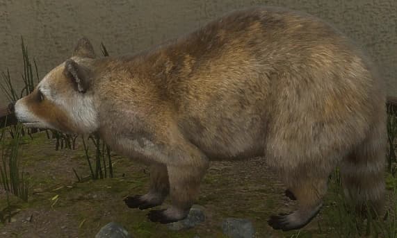 亚麻色 - 亚麻色