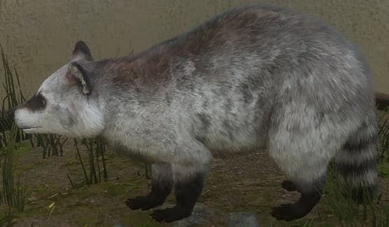 灰色花斑 - 灰色花斑