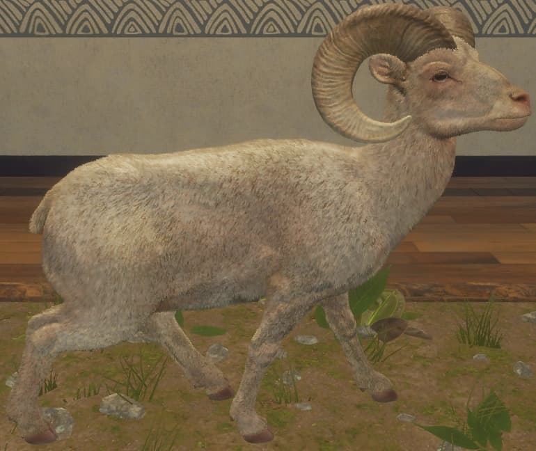 白化 - 右侧（雄）