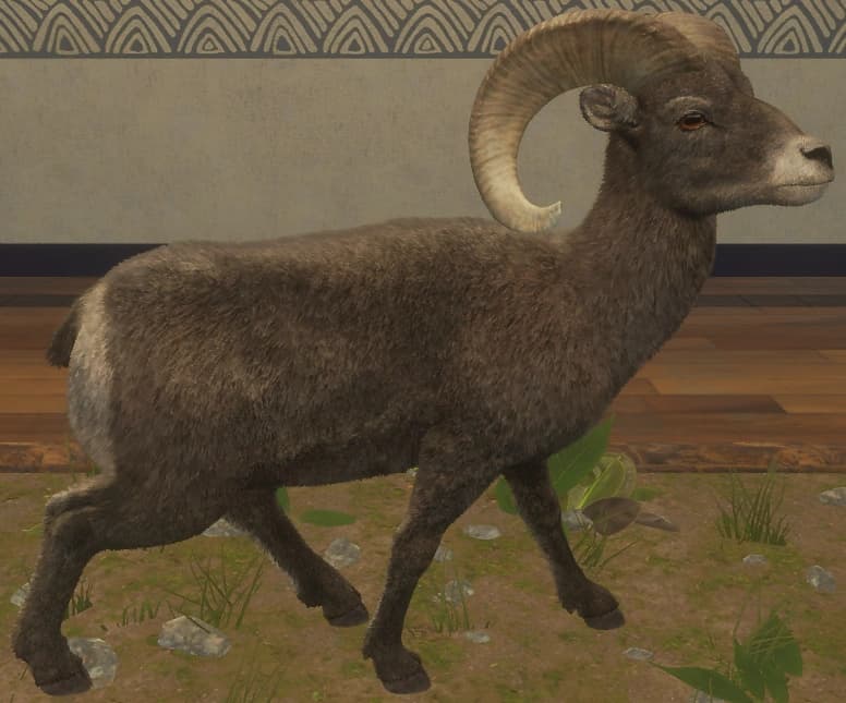 灰色 - 右侧（雄）