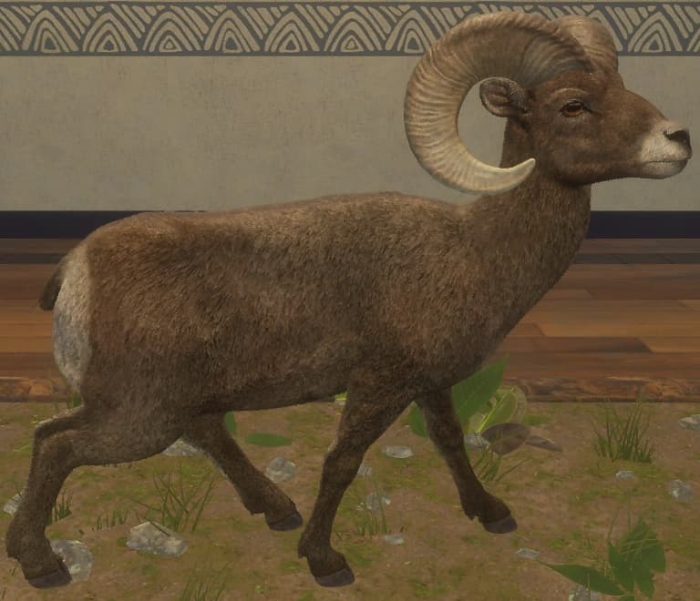 浅褐色 - 右侧（雄）