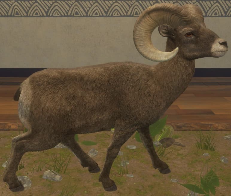 浅灰色 - 右侧（雄）