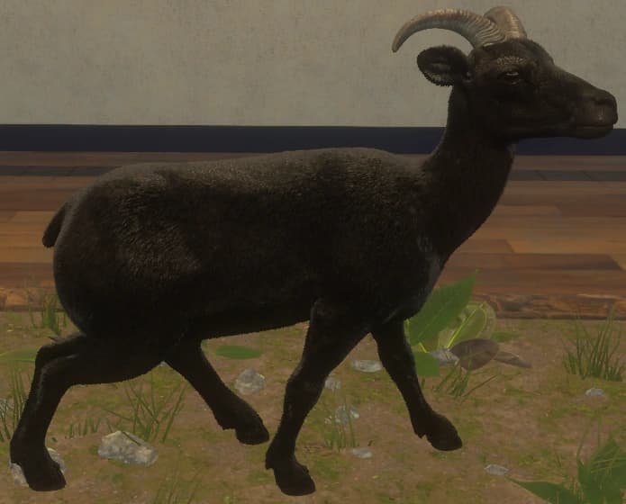 黑化 - 右侧（雌）