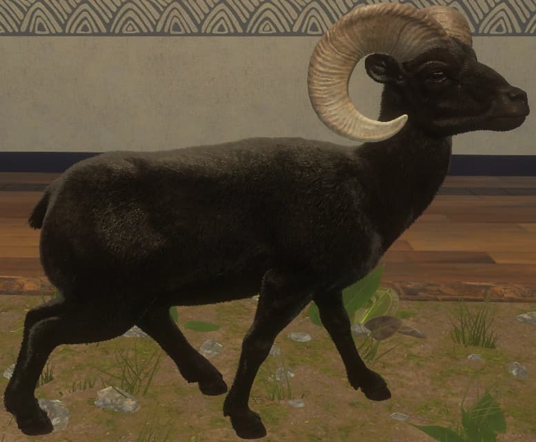 黑化 - 右侧（雄）