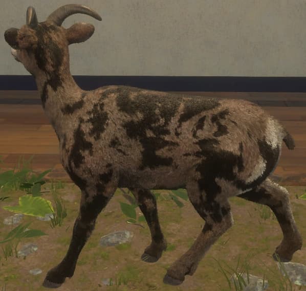 马赛克纹 - 左侧（雌）