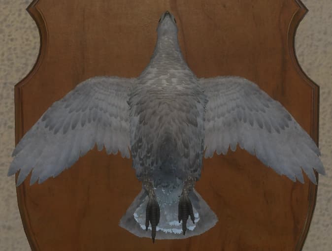 白细胞 - 正面（雌）