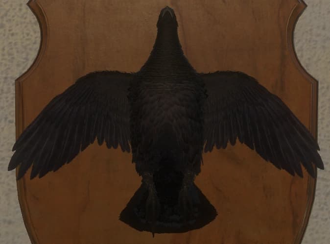 黑化 - 正面（雌）