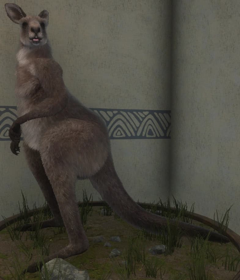 棕色变化 1 - 棕色变化 1