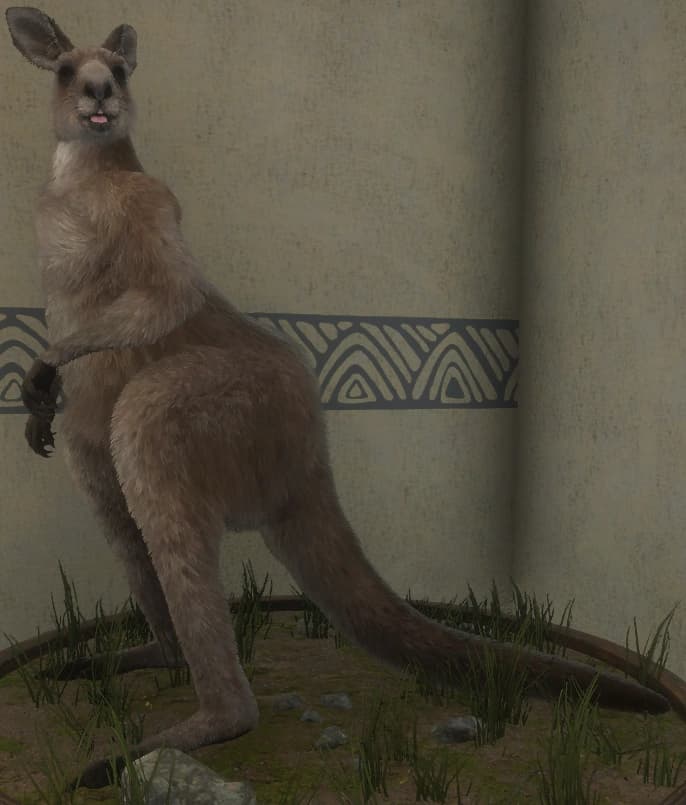 棕色变化 2 - 棕色变化 2