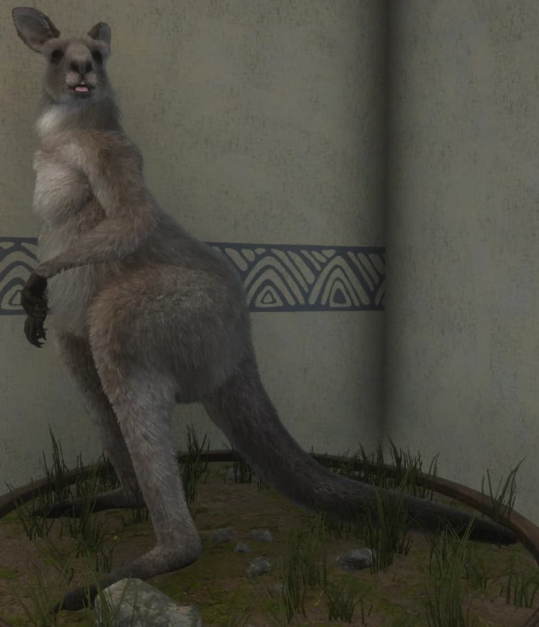 灰褐色 - 灰褐色