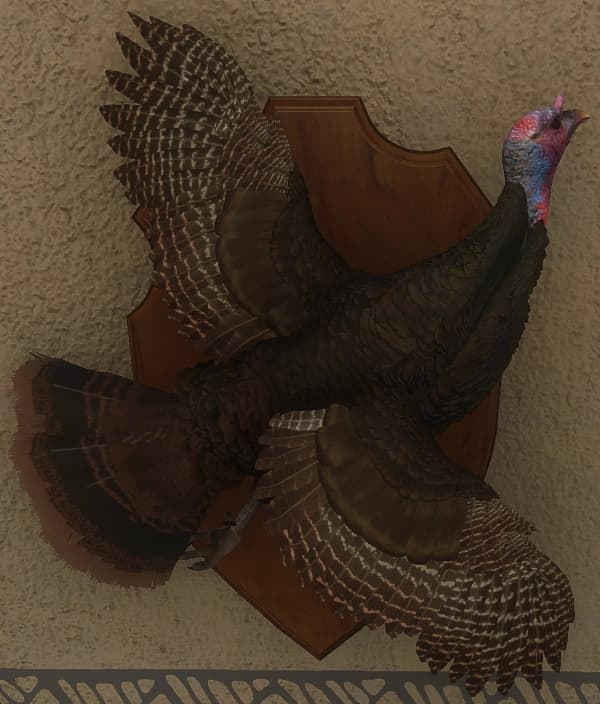 浅青铜色 - 雌性