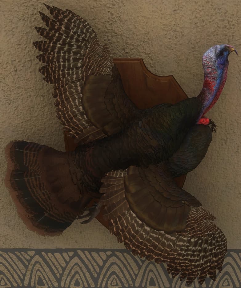 浅青铜色 - 雄性