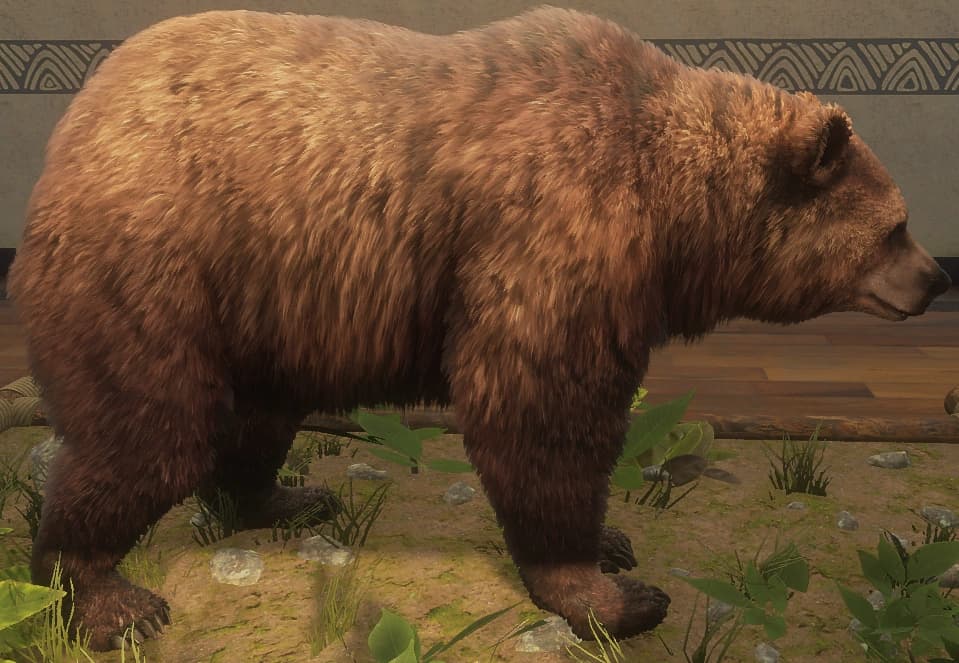 肉桂色 - 肉桂色