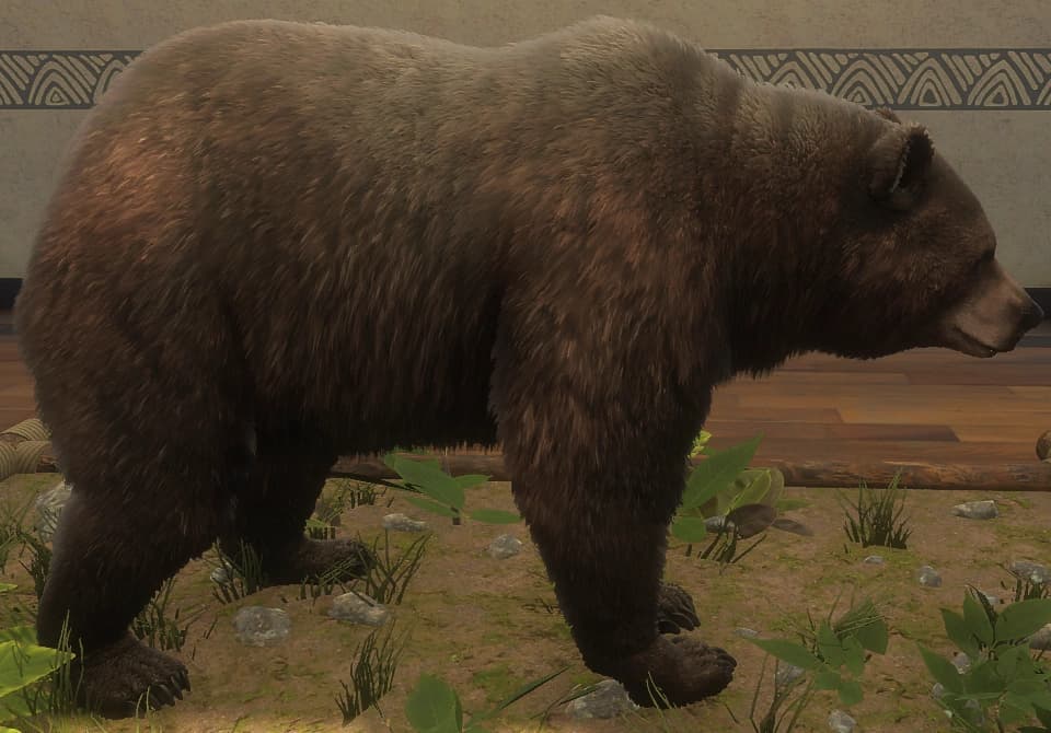 深褐色 - 深褐色