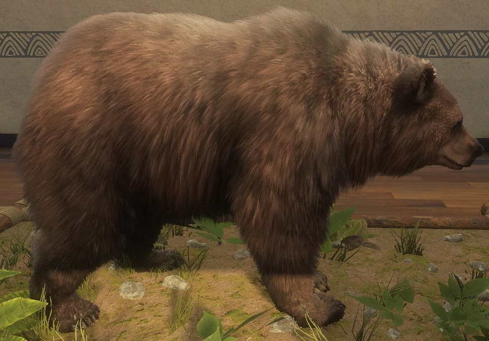 浅褐色 - 浅褐色