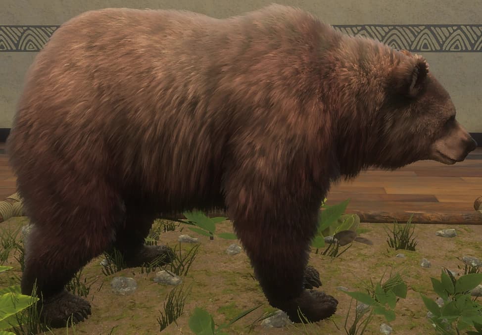 红棕色 - 红棕色