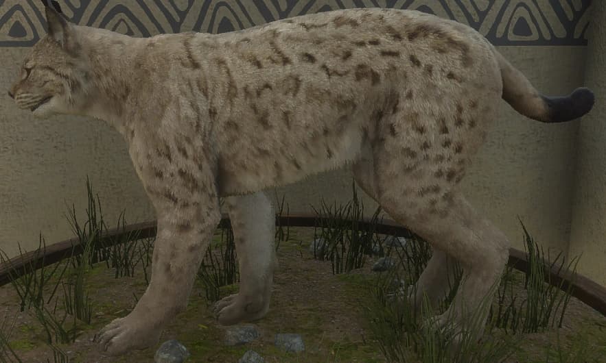 浅褐色 - 浅褐色