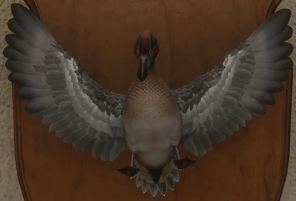 深绿色 - 正面（雄）