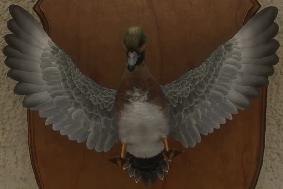 混种 - 正面（雄）