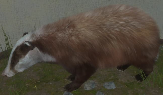 红化赤色 - 左侧