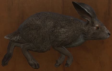 深褐色 - 深褐色