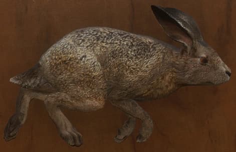 浅褐色 - 浅褐色