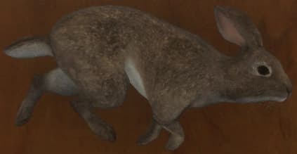 深褐色 - 深褐色