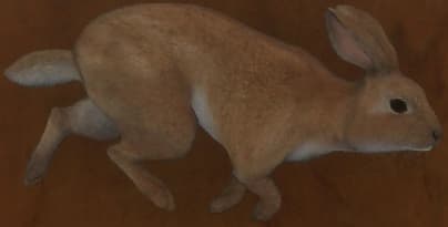 白色亚种 - 白色亚种