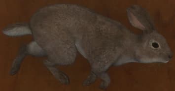 浅褐色 - 浅褐色