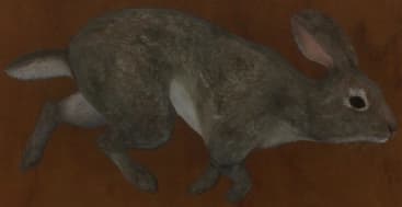 浅灰色 - 浅灰色