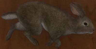 棕褐色 - 棕褐色