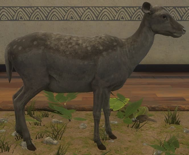 黑化 - 右侧（雌）