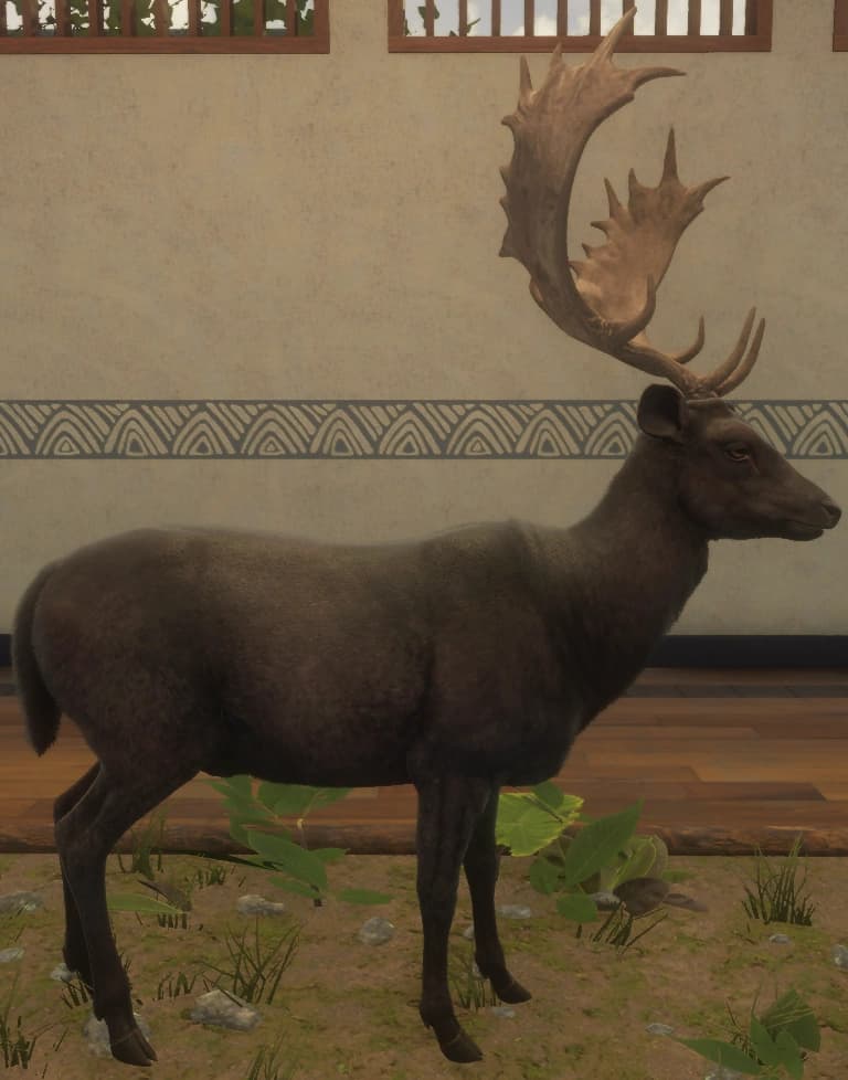 黑化 - 右侧（雄）